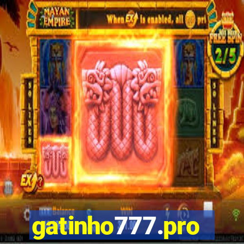 gatinho777.pro