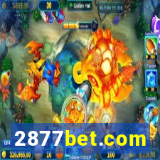 2877bet.com