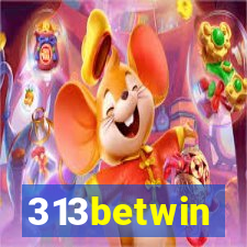 313betwin