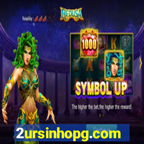 2ursinhopg.com