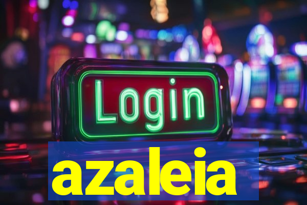 azaleia-br.com