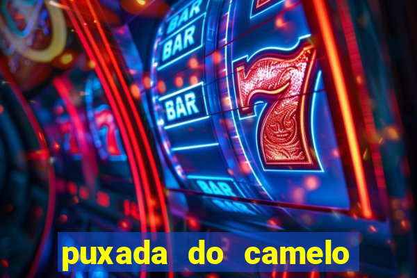 puxada do camelo no jogo do bicho