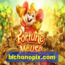 bichonopix.com