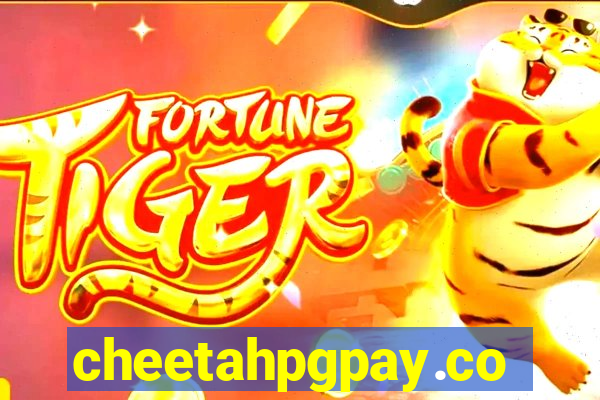 cheetahpgpay.com