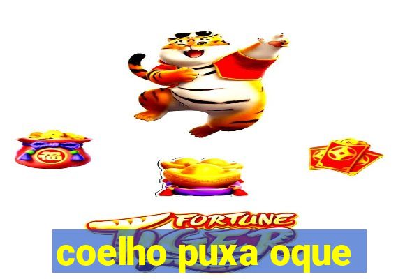 coelho puxa oque