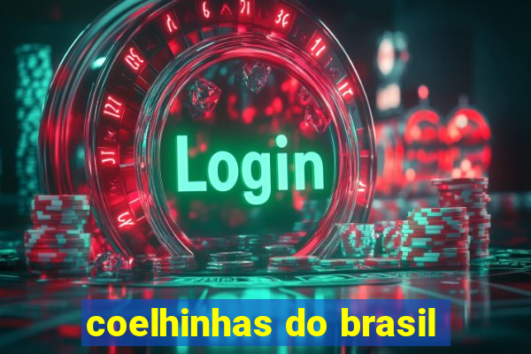 coelhinhas do brasil