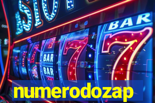 numerodozap