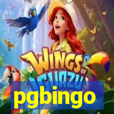 pgbingo