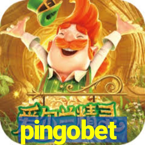 pingobet