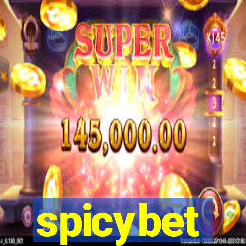 spicybet-3.com