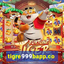 tigre999bapp.com