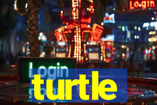 turtle-ty.com