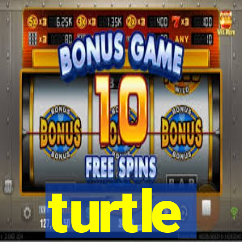 turtle-ty.com