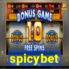 spicybet-2.com